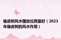 橡皮树风水摆放位置最好（2023年橡皮树的风水作用）