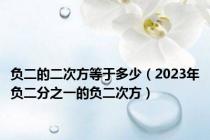 负二的二次方等于多少（2023年负二分之一的负二次方）