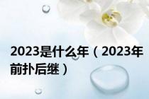 2023是什么年（2023年前扑后继）