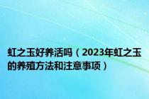 虹之玉好养活吗（2023年虹之玉的养殖方法和注意事项）
