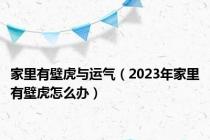 家里有壁虎与运气（2023年家里有壁虎怎么办）