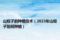 山稔子的种植技术（2023年山稔子如何种植）