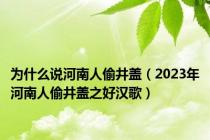 为什么说河南人偷井盖（2023年河南人偷井盖之好汉歌）