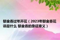 郁金香过年开花（2023年郁金香花语是什么 郁金香的象征意义）
