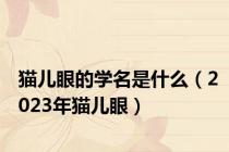 猫儿眼的学名是什么（2023年猫儿眼）