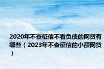 2020年不查征信不看负债的网贷有哪些（2023年不查征信的小额网贷）