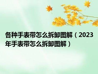 各种手表带怎么拆卸图解（2023年手表带怎么拆卸图解）