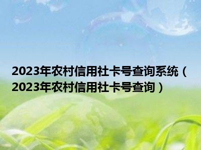 2023年农村信用社卡号查询系统（2023年农村信用社卡号查询）