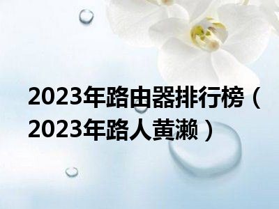 2023年路由器排行榜（2023年路人黄濑）