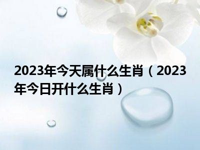 2023年今天属什么生肖（2023年今日开什么生肖）