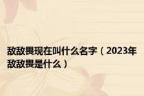 敌敌畏现在叫什么名字（2023年敌敌畏是什么）