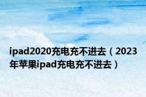 ipad2020充电充不进去（2023年苹果ipad充电充不进去）