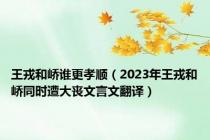 王戎和峤谁更孝顺（2023年王戎和峤同时遭大丧文言文翻译）