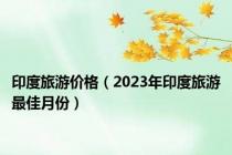 印度旅游价格（2023年印度旅游最佳月份）