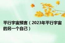 平行宇宙预言（2023年平行宇宙的另一个自己）