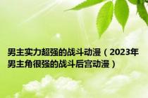 男主实力超强的战斗动漫（2023年男主角很强的战斗后宫动漫）