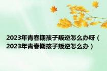 2023年青春期孩子叛逆怎么办呀（2023年青春期孩子叛逆怎么办）