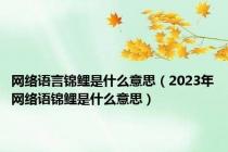 网络语言锦鲤是什么意思（2023年网络语锦鲤是什么意思）