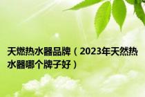 天燃热水器品牌（2023年天然热水器哪个牌子好）