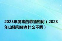 2023年属猪的感情如何（2023年山猪和猪有什么不同）