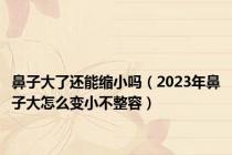 鼻子大了还能缩小吗（2023年鼻子大怎么变小不整容）
