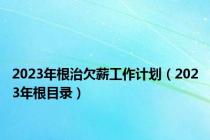 2023年根治欠薪工作计划（2023年根目录）