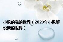 小枫的我的世界（2023年小枫解说我的世界）