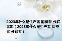 2023年什么是生产者 消费者 分解者呢（2023年什么是生产者 消费者 分解者）