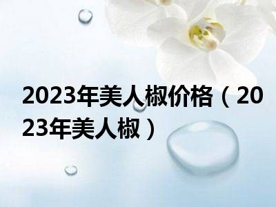 2023年美人椒价格（2023年美人椒）