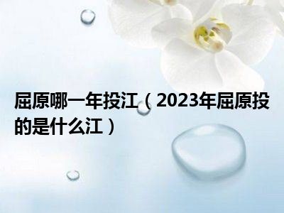 屈原哪一年投江（2023年屈原投的是什么江）