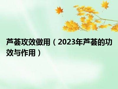 芦荟攻效做用（2023年芦荟的功效与作用）