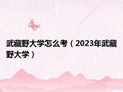 武藏野大学怎么考（2023年武藏野大学）