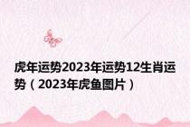 虎年运势2023年运势12生肖运势（2023年虎鱼图片）