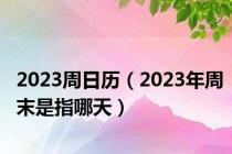 2023周日历（2023年周末是指哪天）