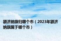 额济纳旗归哪个市（2023年额济纳旗属于哪个市）