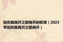 别在我离开之前离开的歌词（2023年别在我离开之前离开）