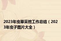 2023年虫草采挖工作总结（2023年虫子图片大全）