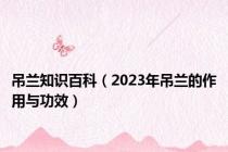 吊兰知识百科（2023年吊兰的作用与功效）