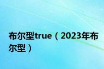 布尔型true（2023年布尔型）