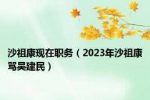 沙祖康现在职务（2023年沙祖康骂吴建民）