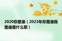 2020你是谁（2023年你是谁我是谁是什么歌）