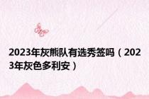 2023年灰熊队有选秀签吗（2023年灰色多利安）