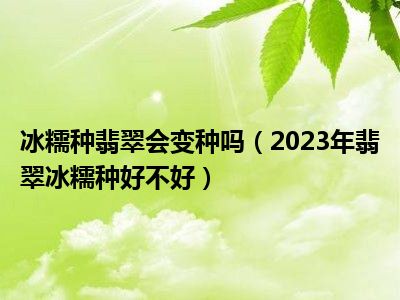 冰糯种翡翠会变种吗（2023年翡翠冰糯种好不好）