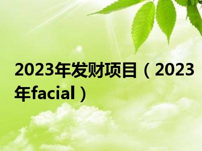 2023年发财项目（2023年facial）