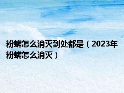 粉螨怎么消灭到处都是（2023年粉螨怎么消灭）