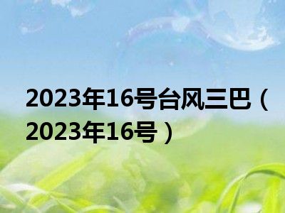 2023年16号台风三巴（2023年16号）