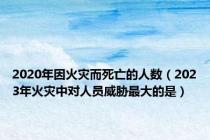 2020年因火灾而死亡的人数（2023年火灾中对人员威胁最大的是）