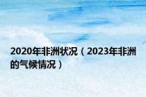 2020年非洲状况（2023年非洲的气候情况）