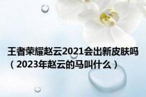 王者荣耀赵云2021会出新皮肤吗（2023年赵云的马叫什么）