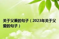 关于父爰的句子（2023年关于父爱的句子）